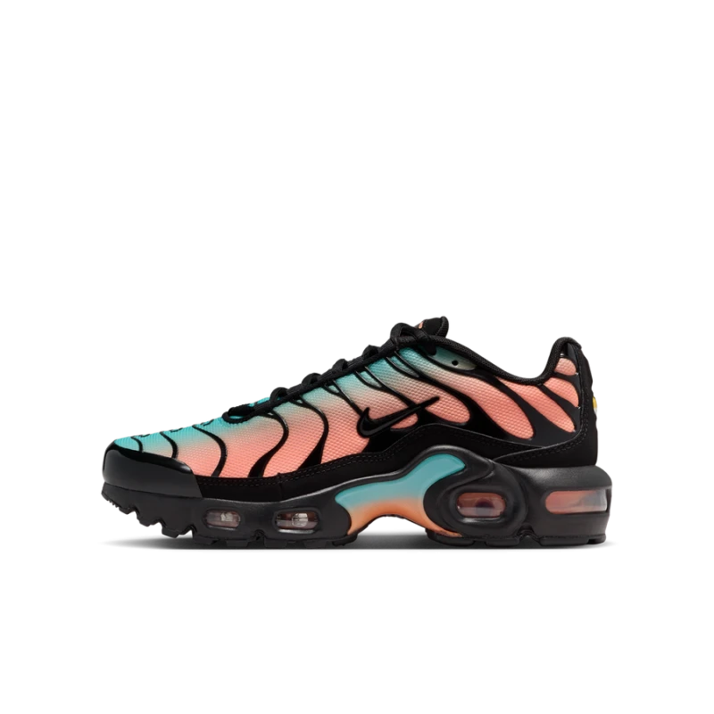 Nike Air Max Plus kinder - CD0609-037