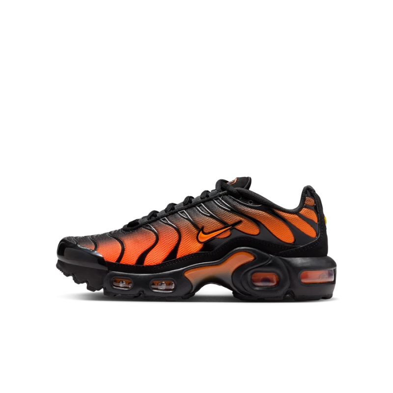 Nike Air Max Plus kinder - CD0609-041