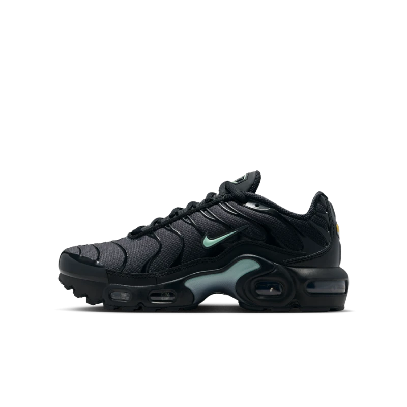 Nike Air Max Plus kinder - IF6169-010
