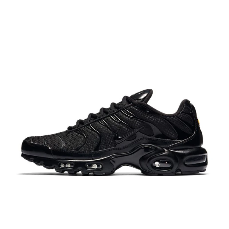 Nike Air Max Plus TN - 604133-050