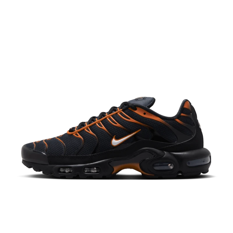 Nike Air Max Plus - FN6949-400