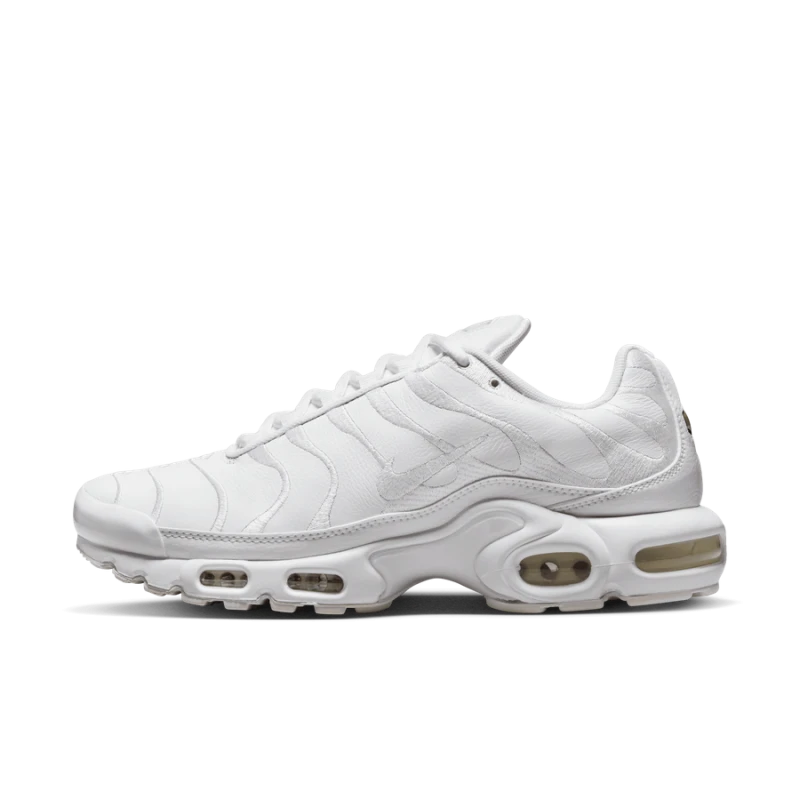 Nike Air Max Plus - AJ2029-100