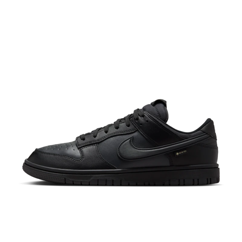 Nike Dunk Low GORE - HQ2053-001