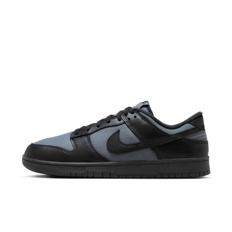 Nike Dunk Low Retro SE winter - FZ3052-001