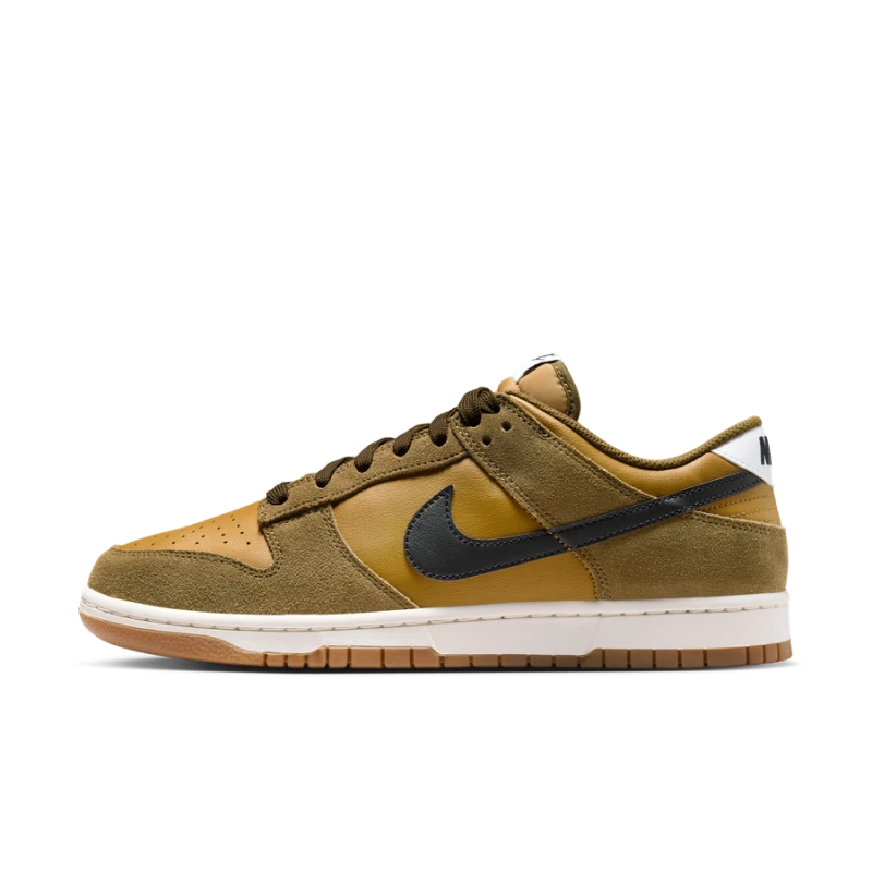 Nike Dunk Low Retro SE - IB6399-300