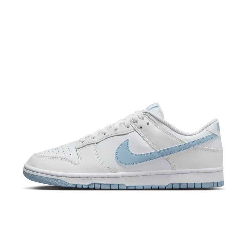 Nike Dunk Low Retro - DV0831-109