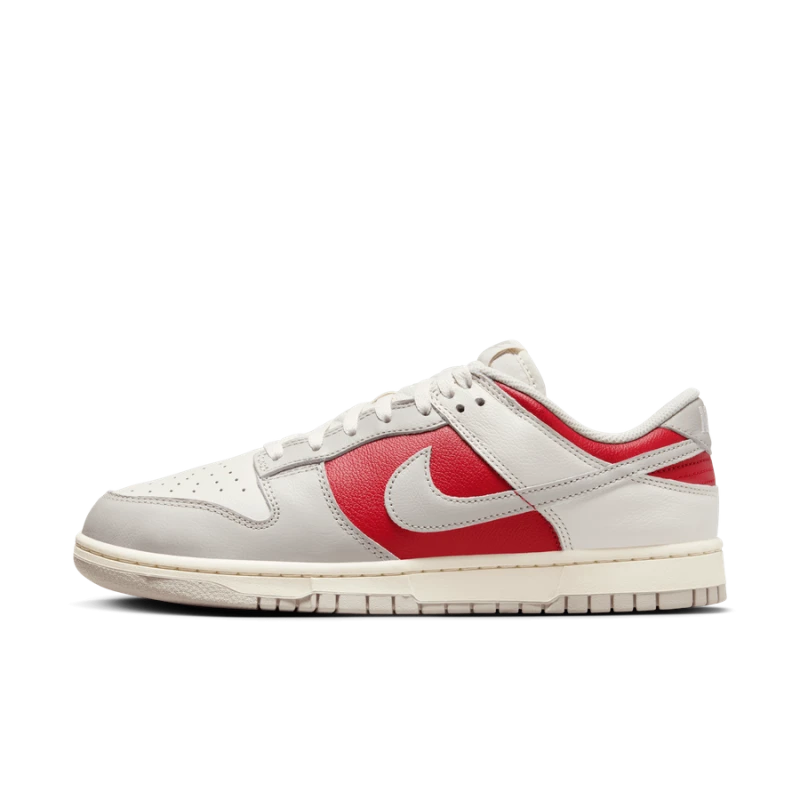 Nike Dunk Low Retro - HJ9093-030