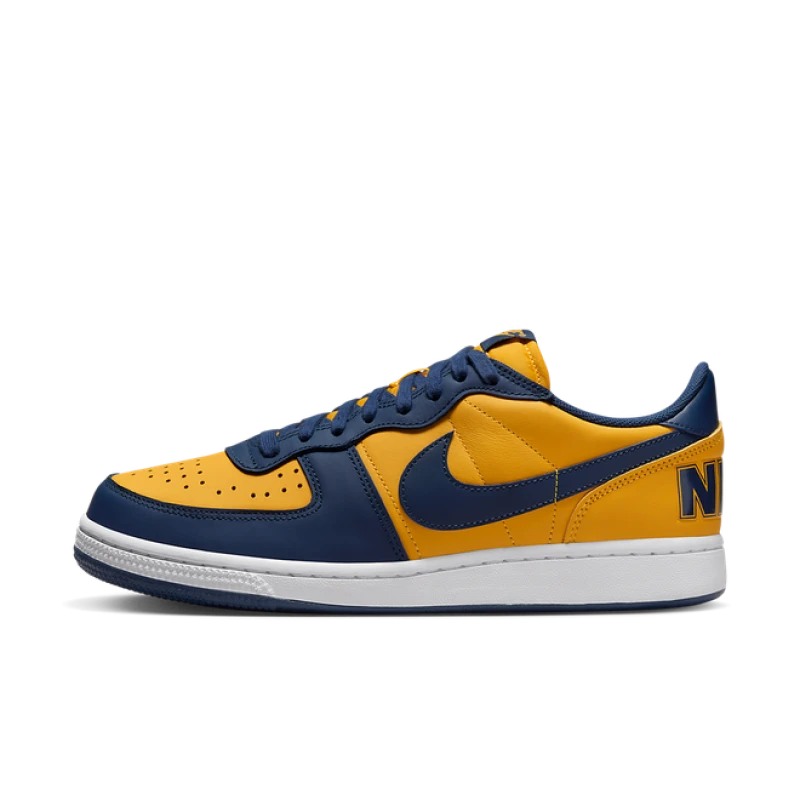 Nike Terminator Low 'Michigan' - FJ4206-700
